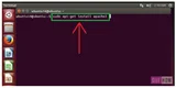 Apache Virtual Hosts на Ubuntu 14.04 LTS