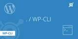 Използване на WP-CLI за управление на WordPress в Ubuntu
