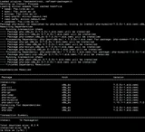 Seadistage helilooja PHP-sõltuvuste jaoks CentOS 6-s