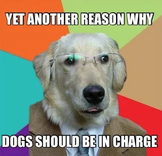 5 lõbusat ja tasuta rakendust meemide loomiseks