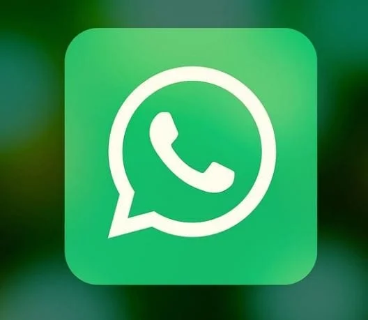 WhatsApp: Jak najít konkrétní zprávu