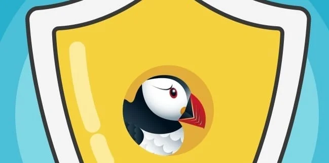 Zgjidhja e problemeve të shfletuesit Puffin me kamerë