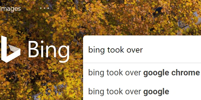 Защо Bing е моята търсачка по подразбиране?