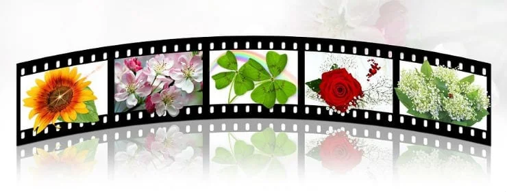 Как да изтеглите и използвате Windows Movie Maker