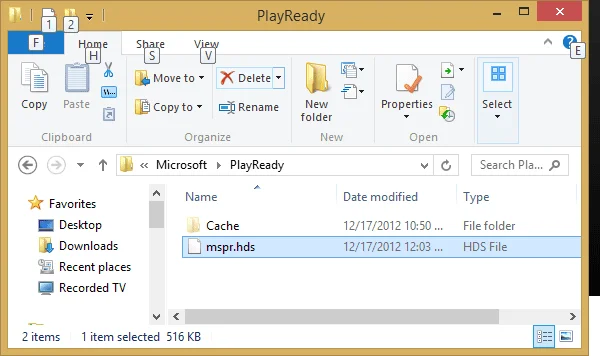 Parandage Netflixi DRM-i viga N8156-6013