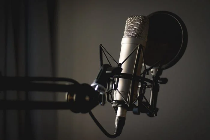 Easy Voice Recorder Pro: Най-доброто ръководство
