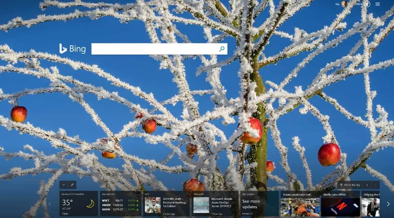 Jak zakázat návrhy vyhledávání Bings