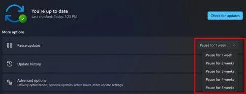 Як зупинити оновлення Windows 11