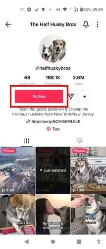 Как лесно да следвате и спирате да следвате някого в TikTok