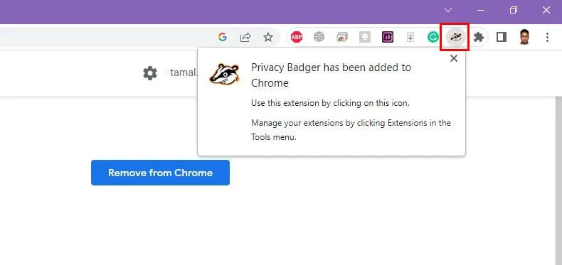 Kuidas kasutada Privacy Badger Chrome'i laiendust veebijälgijate peatamiseks