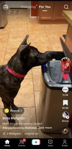 Jak snadno někoho sledovat a přestat sledovat na TikTok