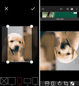 5 δωρεάν εφαρμογές Android για αλλαγή μεγέθους εικόνων