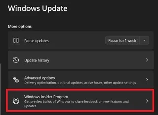 Windows 11: Ознайомлювальна копія водяного знака після оновлення