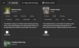 Microsoft Edge: como activar/desactivar a busca visual