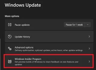 Windows 11: Ознайомлювальна копія водяного знака після оновлення