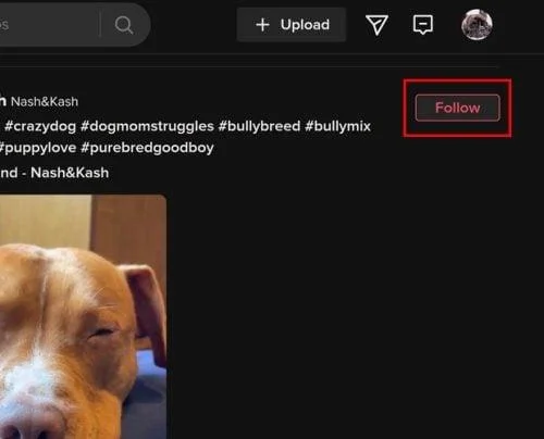 Как лесно да следвате и спирате да следвате някого в TikTok