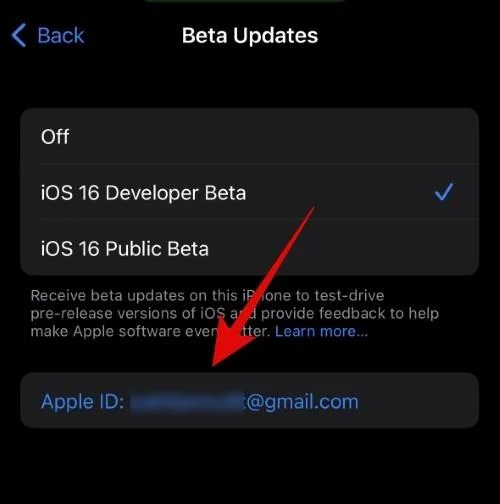 Hur man väljer ett annat Apple-ID för iOS Beta-uppdateringar