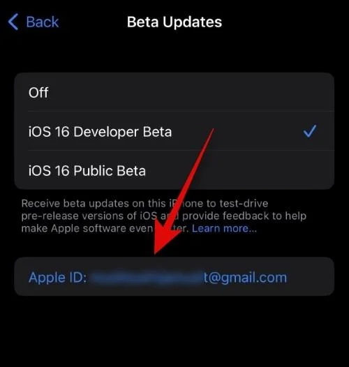 Hur man väljer ett annat Apple-ID för iOS Beta-uppdateringar