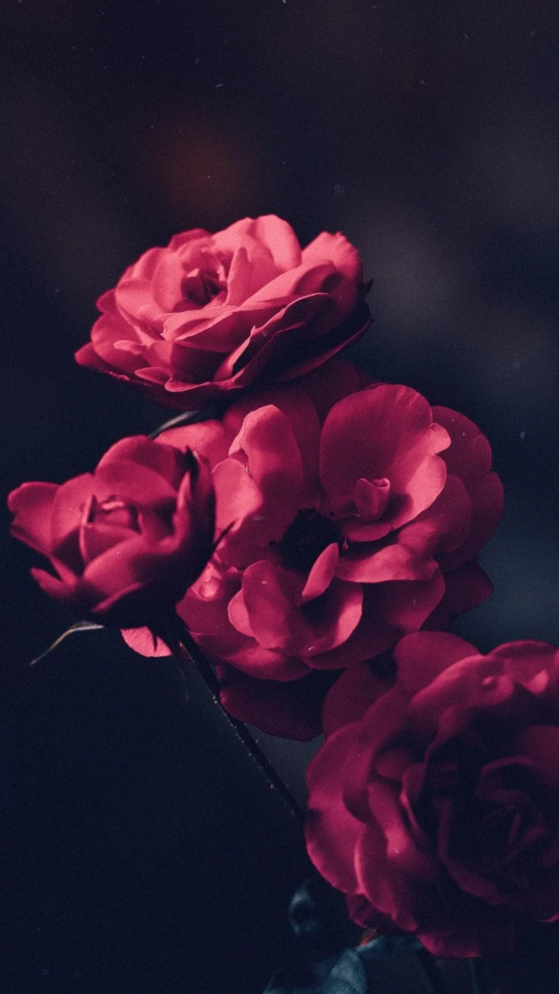 Coola iOS 16 Depth Wallpapers för din iPhones låsskärm