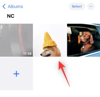 IOS 16 Photo Cutout: Topp 6 måter å lage et utklipp på og 4 måter å lime inn og bruke det
