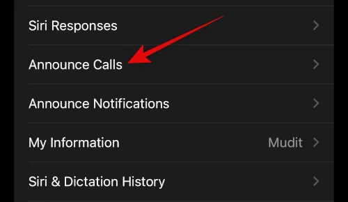 Hur man får Siri på iPhone 14 och använder den