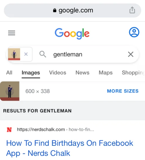 11 nemme måder at lave omvendt billedsøgning på iPhone