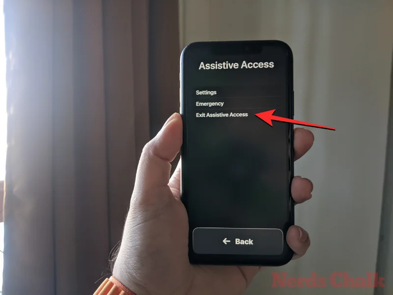 Hur man anpassar assisterande åtkomst på iPhone