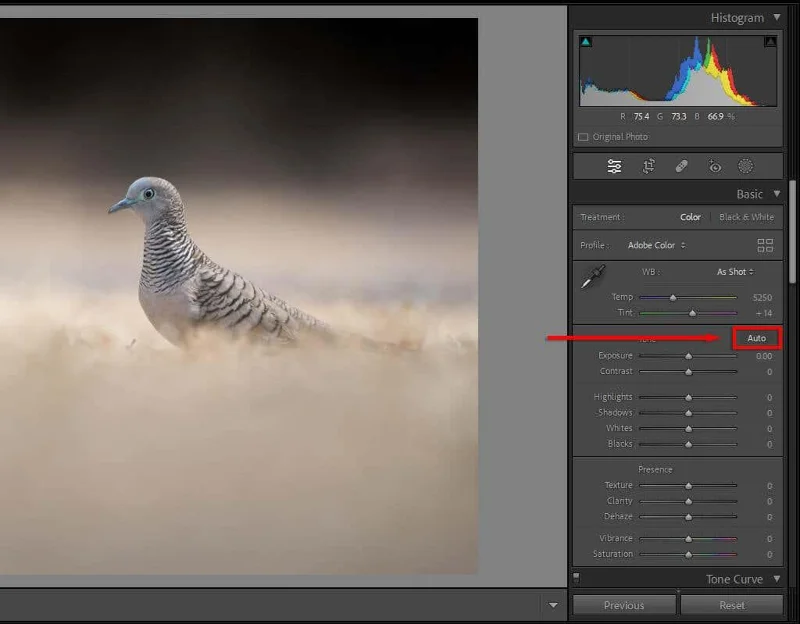 10 Lightroom-redigeringstips för att förbättra dina färdigheter