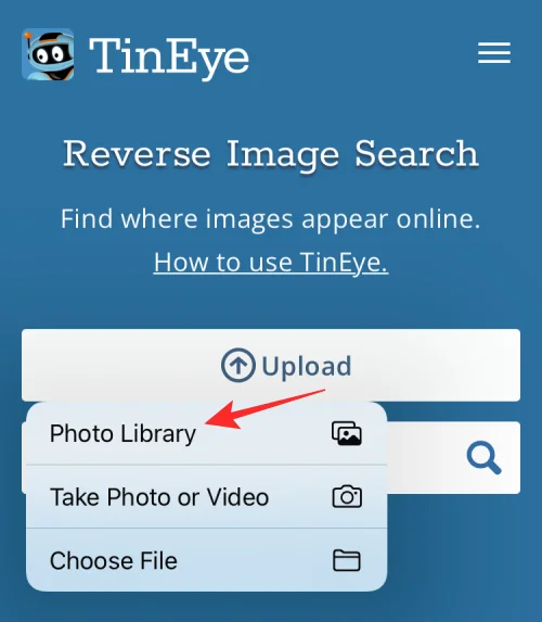 11 nemme måder at lave omvendt billedsøgning på iPhone