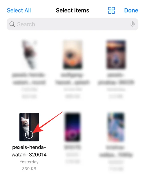 [Легко] Як видалити фон за допомогою програми Files на iPhone або iPad