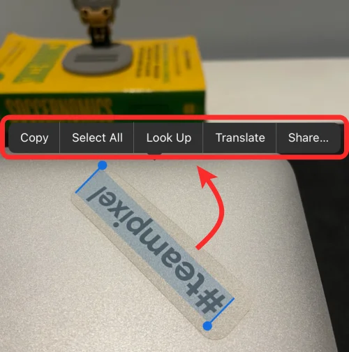 IOS 15 élő szöveg nem működik?  Szöveg javítása és beolvasása képekből