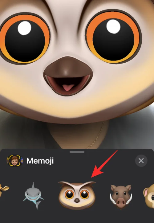 Hvordan få og beholde effekter i FaceTime