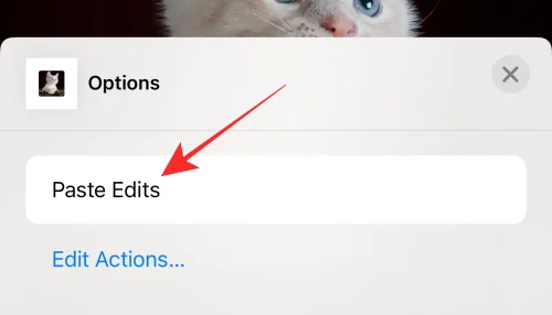 Hur man kopierar redigeringar i Photos App på iPhone på iOS 16