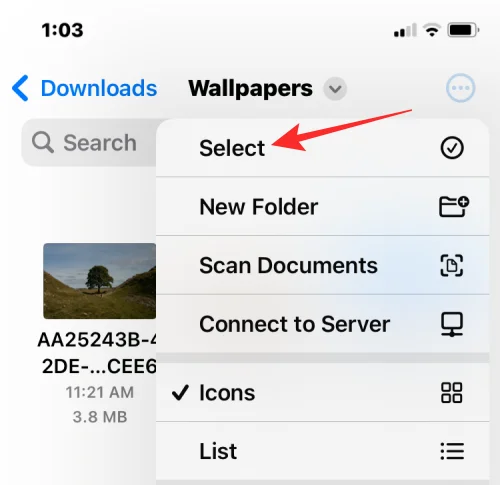 Як об’єднати кілька зображень у файл PDF на iPhone
