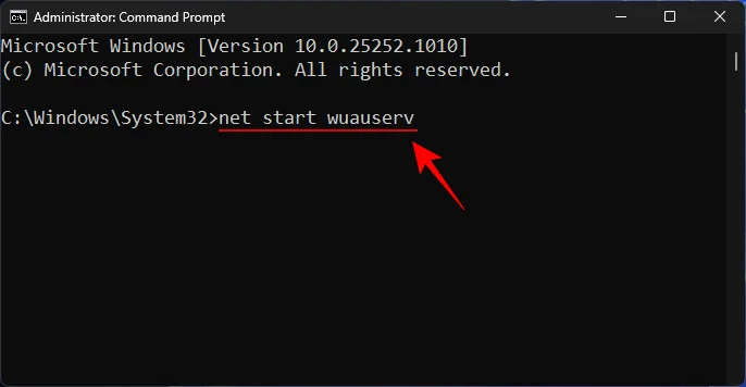 7 způsobů, jak opravit „chybu stahování 0x80248007“ v systému Windows [Průvodce krok za krokem]