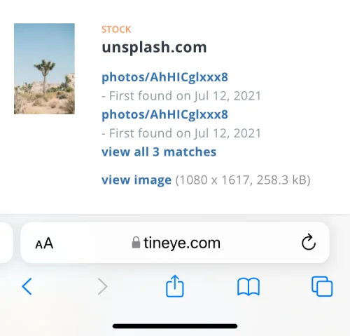 11 nemme måder at lave omvendt billedsøgning på iPhone