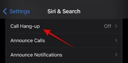 Hur man slår på och ställer in Assistive Access på iPhone