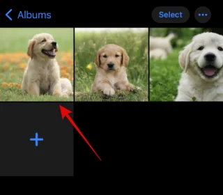 IOS 16: Jak vyrobit nálepky z fotografií