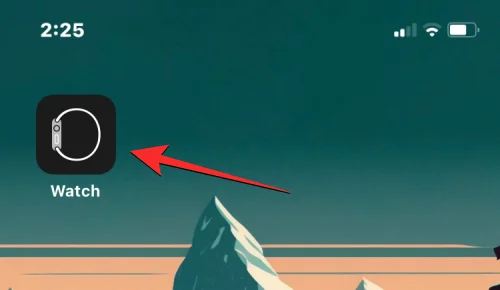 Stäng av aviseringar på Apple Watch: Steg-för-steg-guide