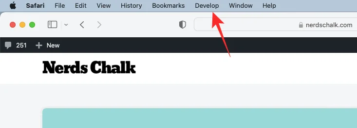 Як перевірити елемент на iPhone: все, що вам потрібно знати