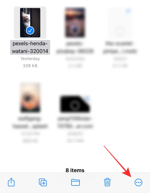 [Легко] Як видалити фон за допомогою програми Files на iPhone або iPad