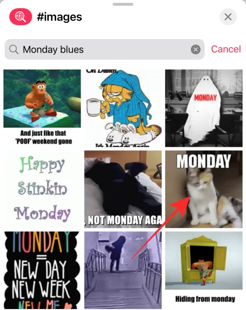 GIF-файли не працюють на iPhone?  Як виправити 10 способами