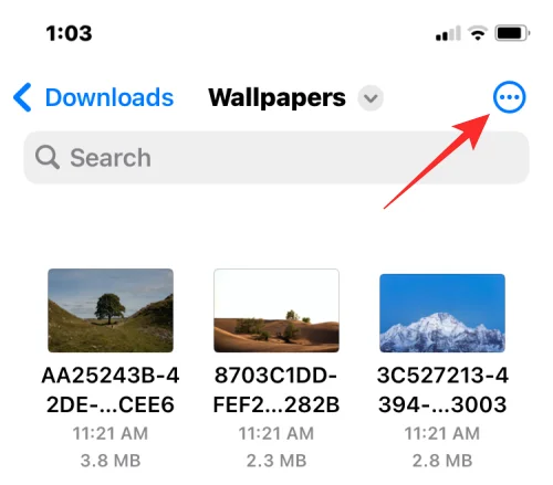Як об’єднати кілька зображень у файл PDF на iPhone