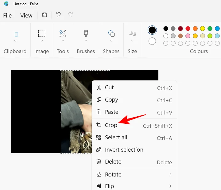 Jak zmrazit snímek v Clipchamp: Průvodce krok za krokem