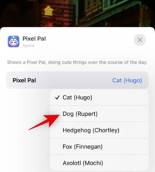A Pixel Pals beszerzése iPhone 14 Pro és Pro Max készülékeken