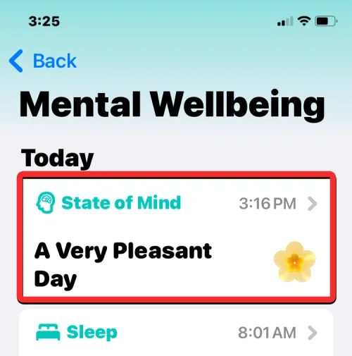Hogyan naplózhatja lelkiállapotát az iOS 17 rendszerrel rendelkező iPhone Health alkalmazásban