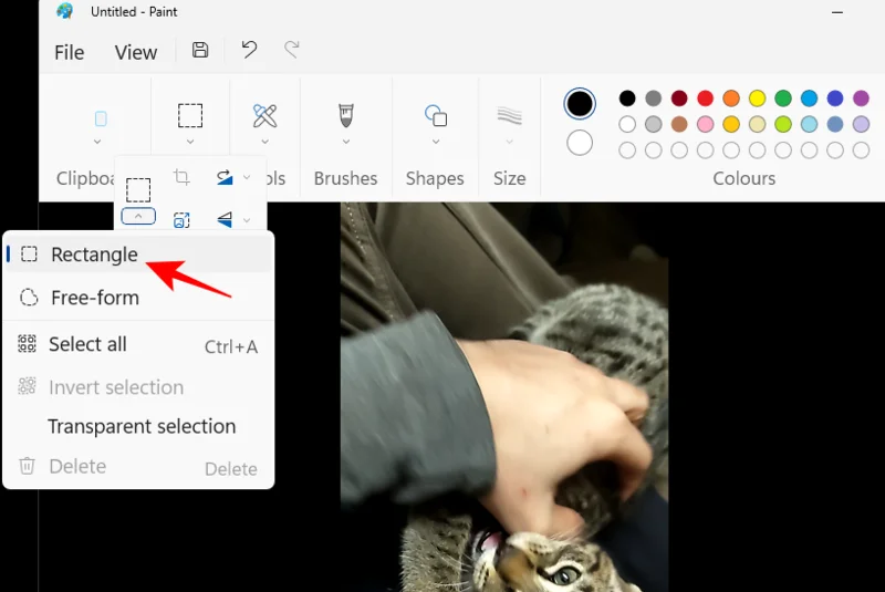 Jak zmrazit snímek v Clipchamp: Průvodce krok za krokem