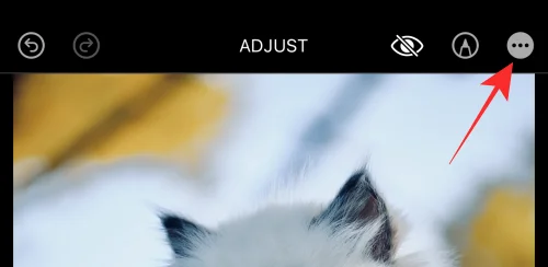Hur man kopierar redigeringar i Photos App på iPhone på iOS 16