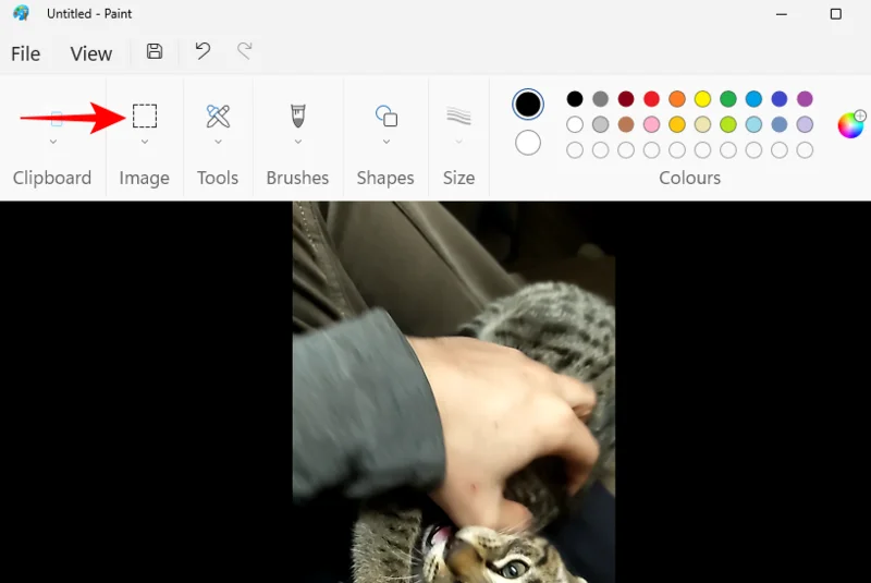 Jak zmrazit snímek v Clipchamp: Průvodce krok za krokem