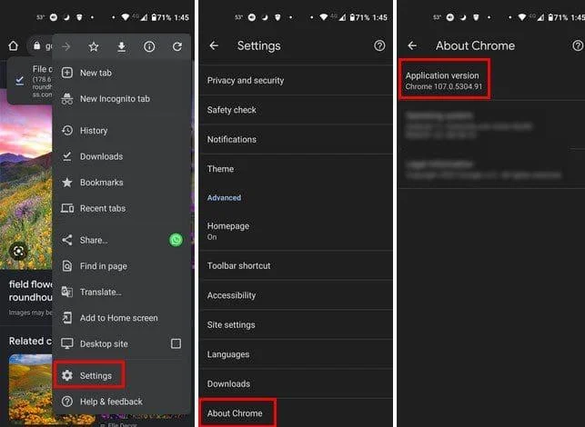 Πώς να δείτε την έκδοση του προγράμματος περιήγησης για Chrome, Safari, Firefox, Opera, Brave και Edge